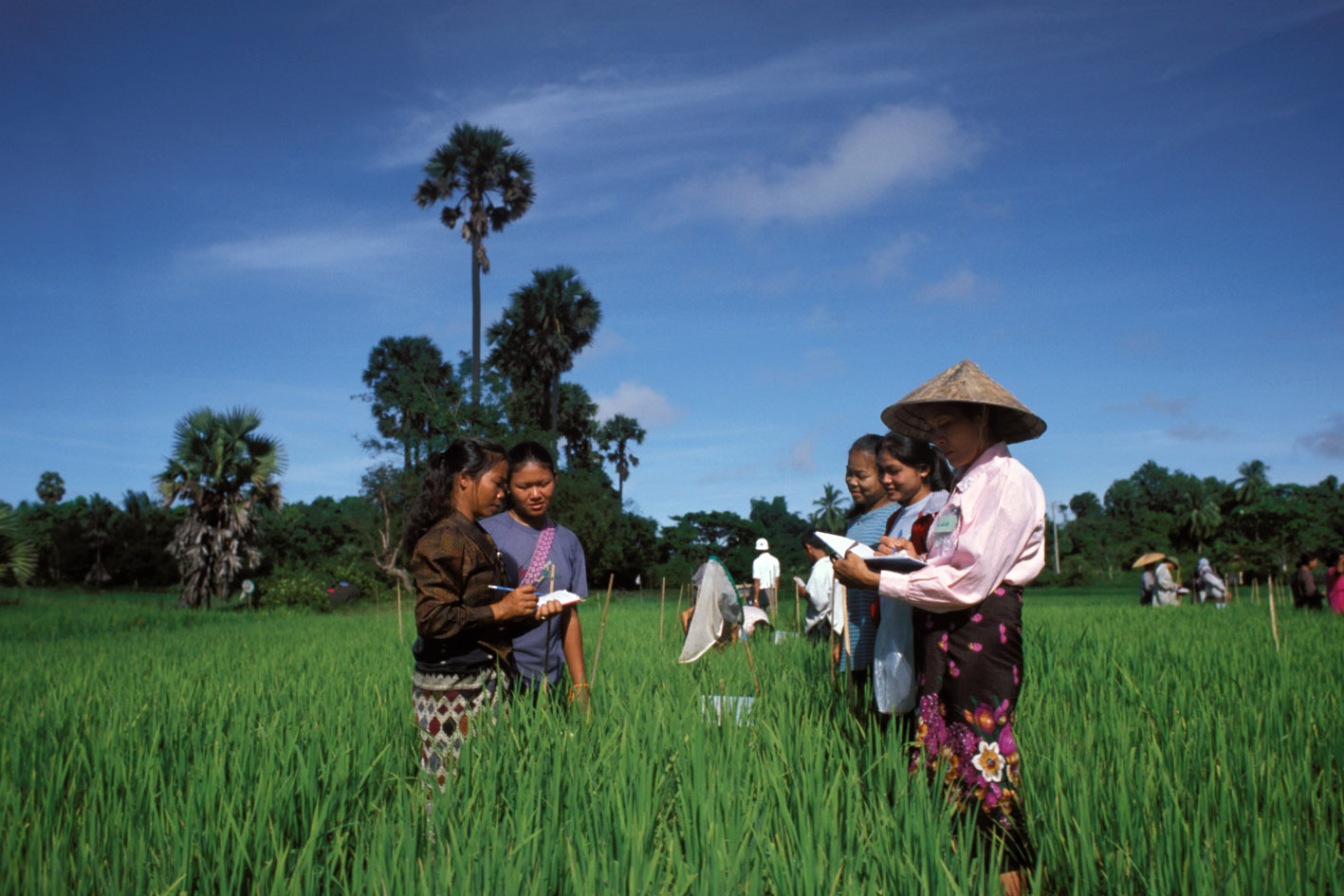 agricultural-surveys